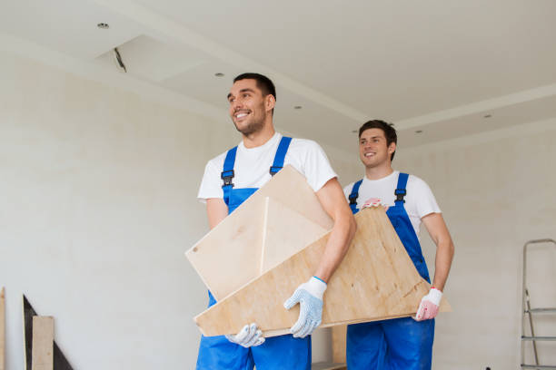 Best Basement Cleanout  in Manchester, MI